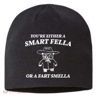 Youre Either A Smart Fella Or A Fart Smella Funny Sustainable Beanie
