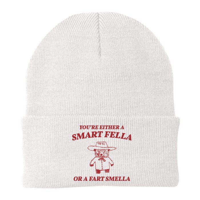 Youre Either A Smart Fella Or A Fart Smella Funny Knit Cap Winter Beanie