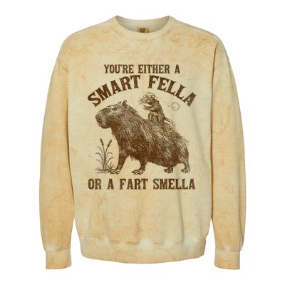 YouRe Either A Smart Fella Or A Fart Smella Colorblast Crewneck Sweatshirt