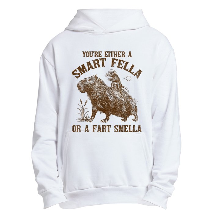 YouRe Either A Smart Fella Or A Fart Smella Urban Pullover Hoodie