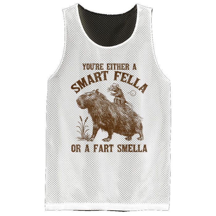 YouRe Either A Smart Fella Or A Fart Smella Mesh Reversible Basketball Jersey Tank