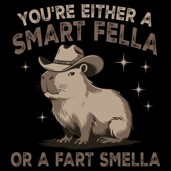 YouRe Either A Smart Fella Or A Fart Smella Button