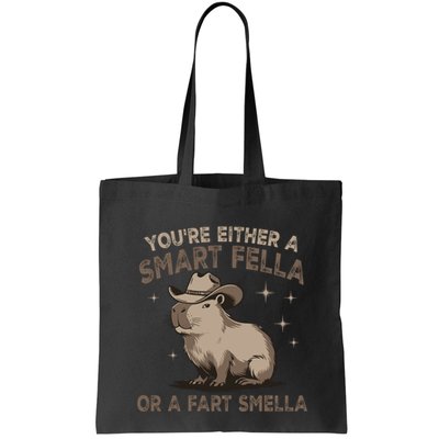 YouRe Either A Smart Fella Or A Fart Smella Bag