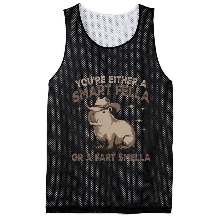 YouRe Either A Smart Fella Or A Fart Smella Mesh Reversible Basketball Jersey Tank