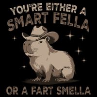 YouRe Either A Smart Fella Or A Fart Smella Mesh Reversible Basketball Jersey Tank