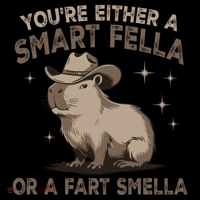 YouRe Either A Smart Fella Or A Fart Smella Baby Bodysuit