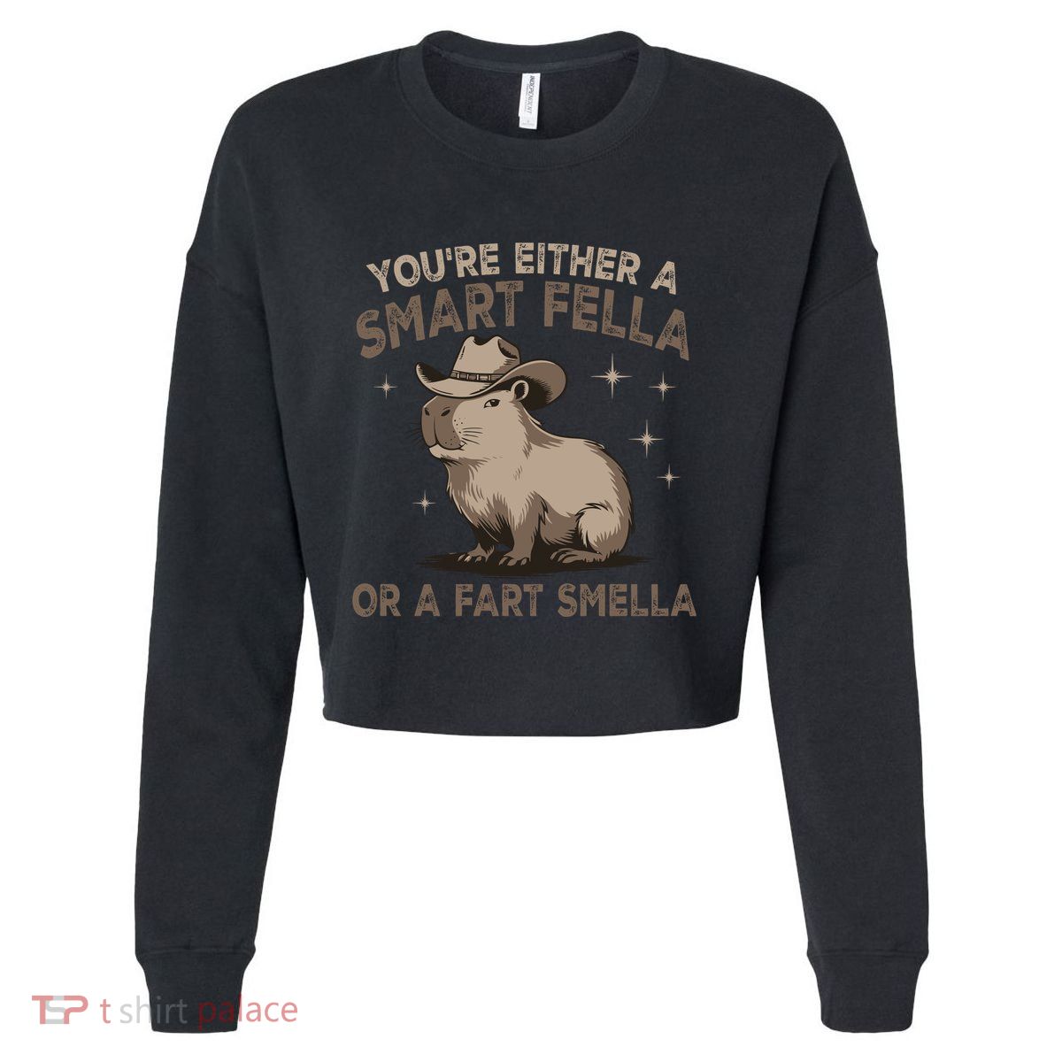 YouRe Either A Smart Fella Or A Fart Smella Cropped Pullover Crew