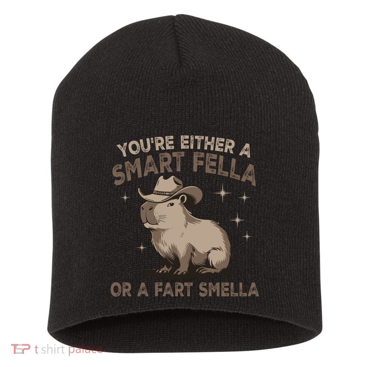 YouRe Either A Smart Fella Or A Fart Smella Short Acrylic Beanie