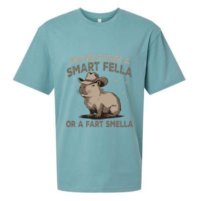 YouRe Either A Smart Fella Or A Fart Smella Sueded Cloud Jersey T-Shirt