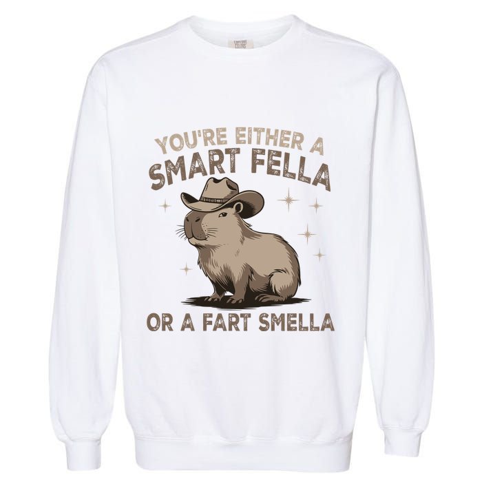 YouRe Either A Smart Fella Or A Fart Smella Garment-Dyed Sweatshirt