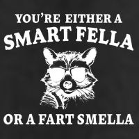 Youre Either A Smart Fella Or A Fart Smella Funny 25L Jumbo Tote
