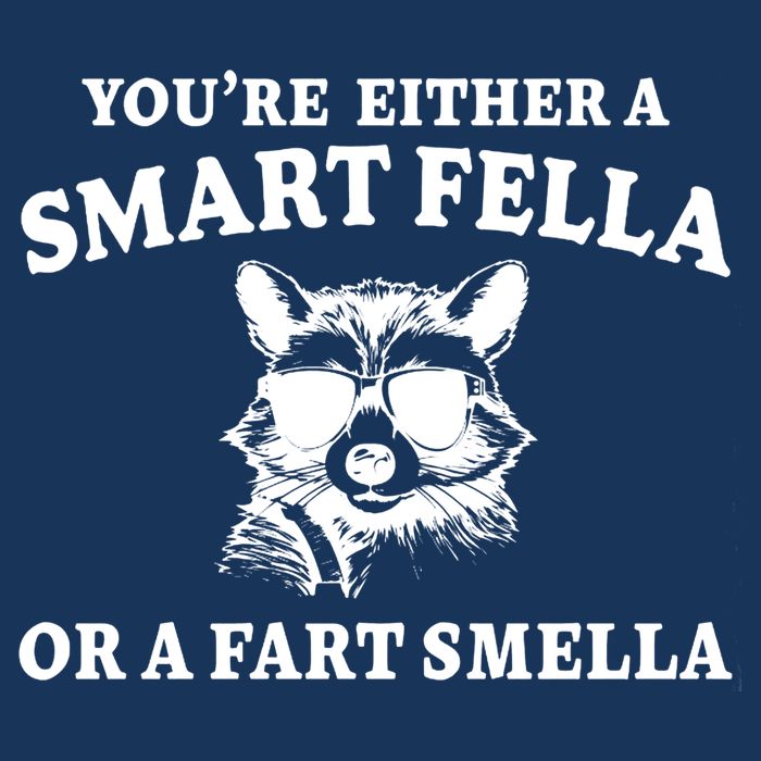 Youre Either A Smart Fella Or A Fart Smella Funny Infant Baby Jersey Bodysuit