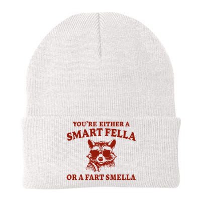 Youre Either A Smart Fella Or A Fart Smella Funny Knit Cap Winter Beanie