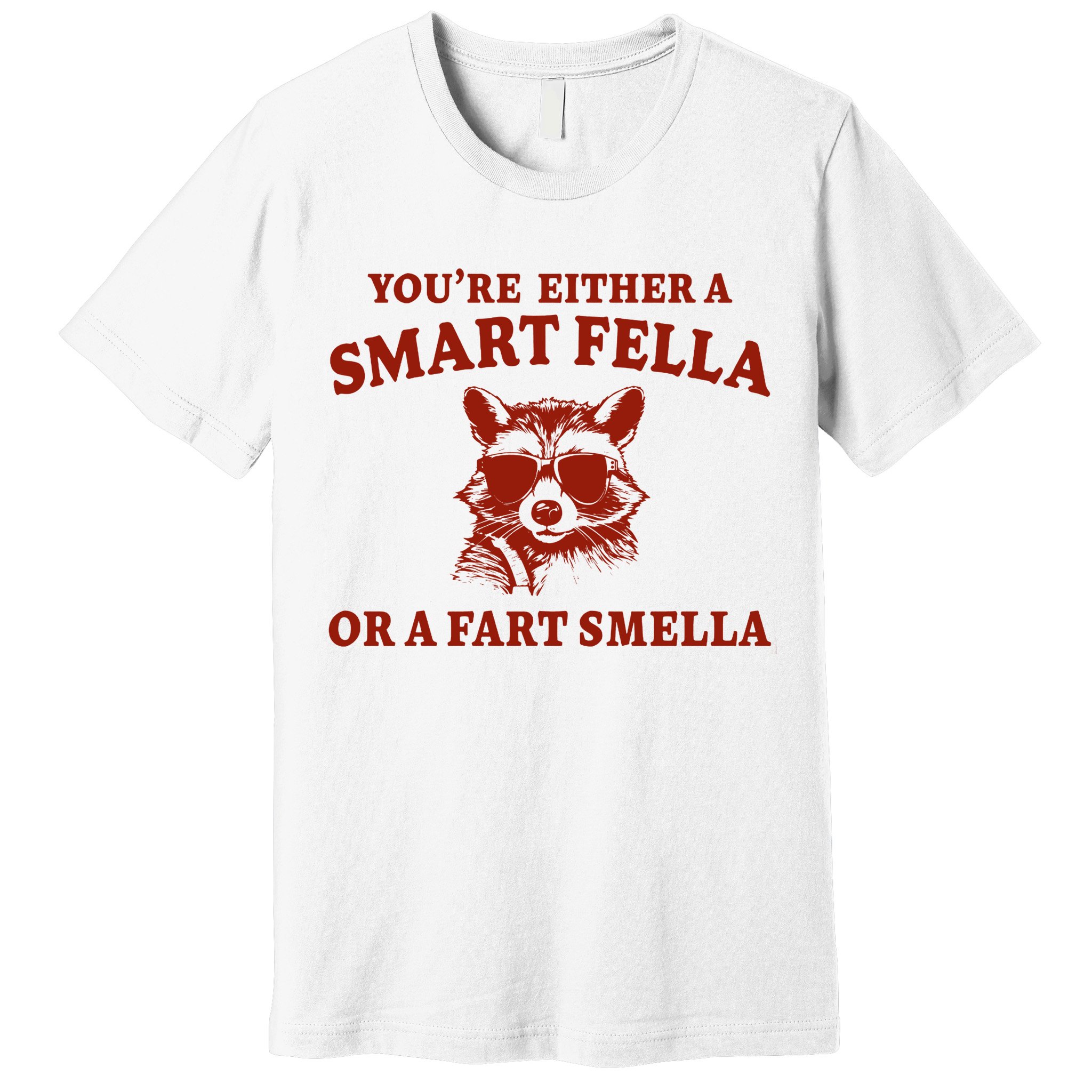 Youre Either A Smart Fella Or A Fart Smella Funny Premium T-Shirt
