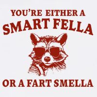 Youre Either A Smart Fella Or A Fart Smella Funny Wool Snapback Cap