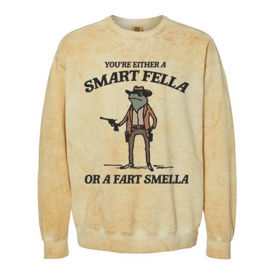 YouRe Either A Smart Fella Or A Fart Smella Vintage Frog Colorblast Crewneck Sweatshirt