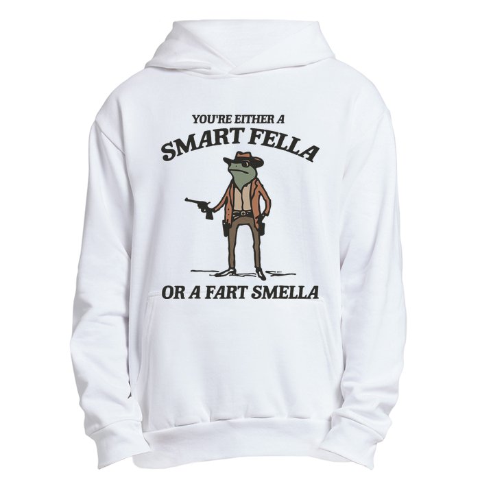 YouRe Either A Smart Fella Or A Fart Smella Vintage Frog Urban Pullover Hoodie