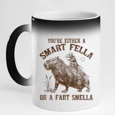 YouRe Either A Smart Fella Or A Fart Smella 11oz Black Color Changing Mug