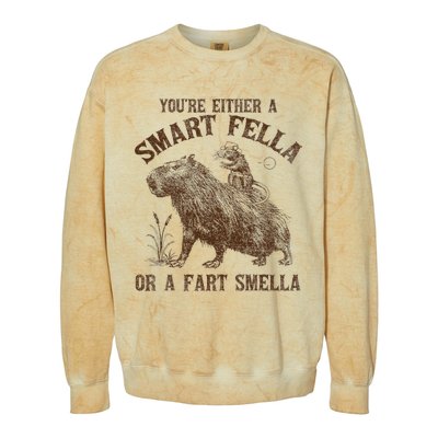 YouRe Either A Smart Fella Or A Fart Smella Colorblast Crewneck Sweatshirt