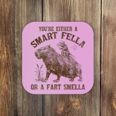 YouRe Either A Smart Fella Or A Fart Smella Coaster