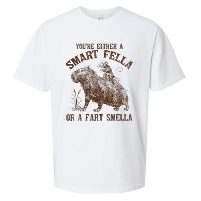 YouRe Either A Smart Fella Or A Fart Smella Sueded Cloud Jersey T-Shirt