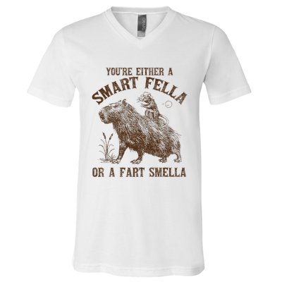 YouRe Either A Smart Fella Or A Fart Smella V-Neck T-Shirt