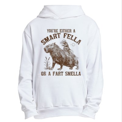 YouRe Either A Smart Fella Or A Fart Smella Urban Pullover Hoodie