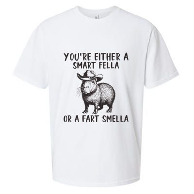 YouRe Either A Smart Fella Or A Fart Smella Cute Capybara Sueded Cloud Jersey T-Shirt