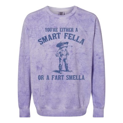 YouRe Either A Smart Fella Or A Fart Smella Colorblast Crewneck Sweatshirt