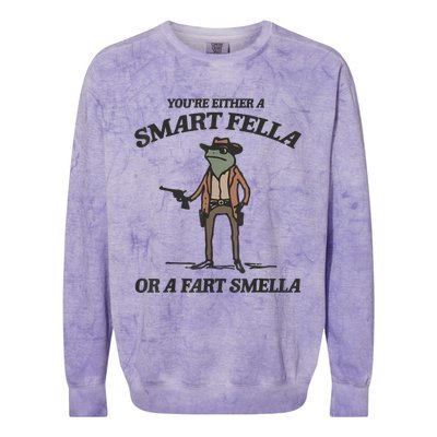 YouRe Either A Smart Fella Or A Fart Smella Vintage Frog Colorblast Crewneck Sweatshirt