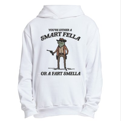 YouRe Either A Smart Fella Or A Fart Smella Vintage Frog Urban Pullover Hoodie