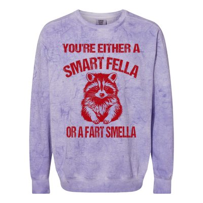 YouRe Either A Smart Fella Or A Fart Smella Colorblast Crewneck Sweatshirt