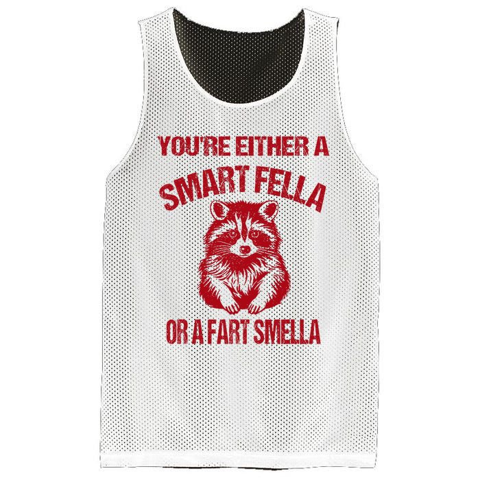 YouRe Either A Smart Fella Or A Fart Smella Mesh Reversible Basketball Jersey Tank