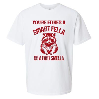 YouRe Either A Smart Fella Or A Fart Smella Sueded Cloud Jersey T-Shirt