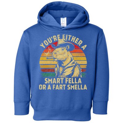 YouRe Either A Smart Fella Or A Fart Smella Toddler Hoodie