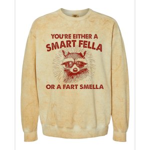 YouRe Either A Smart Fella Or Fart Smella Raccoon Colorblast Crewneck Sweatshirt