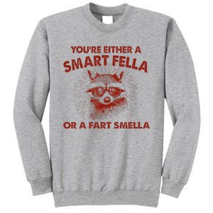 YouRe Either A Smart Fella Or Fart Smella Raccoon Tall Sweatshirt