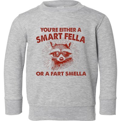 YouRe Either A Smart Fella Or Fart Smella Raccoon Toddler Sweatshirt