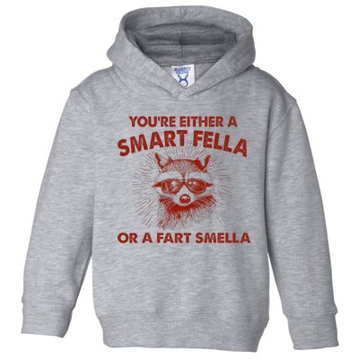 YouRe Either A Smart Fella Or Fart Smella Raccoon Toddler Hoodie