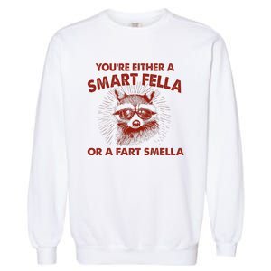 YouRe Either A Smart Fella Or Fart Smella Raccoon Garment-Dyed Sweatshirt