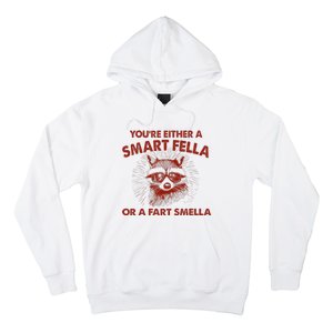 YouRe Either A Smart Fella Or Fart Smella Raccoon Hoodie