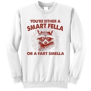 YouRe Either A Smart Fella Or Fart Smella Raccoon Sweatshirt