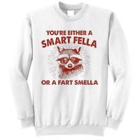 YouRe Either A Smart Fella Or Fart Smella Raccoon Sweatshirt