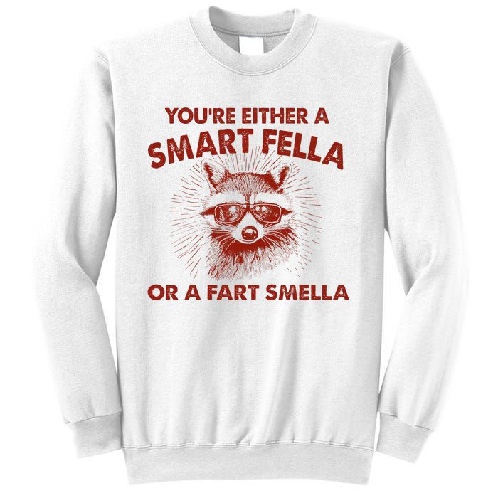 YouRe Either A Smart Fella Or Fart Smella Raccoon Sweatshirt