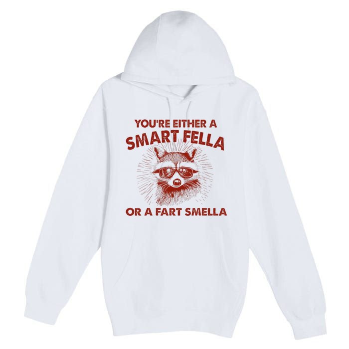 YouRe Either A Smart Fella Or Fart Smella Raccoon Premium Pullover Hoodie