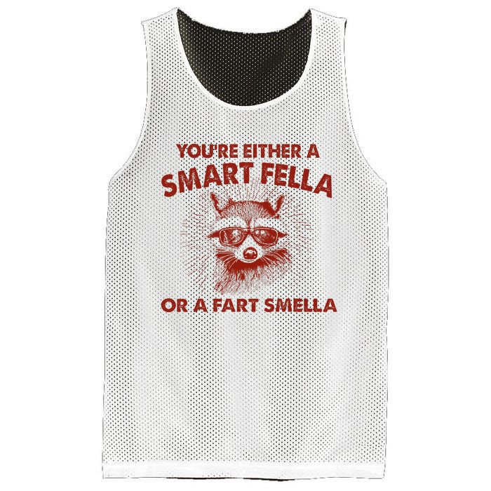 YouRe Either A Smart Fella Or Fart Smella Raccoon Mesh Reversible Basketball Jersey Tank