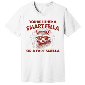 YouRe Either A Smart Fella Or Fart Smella Raccoon Premium T-Shirt