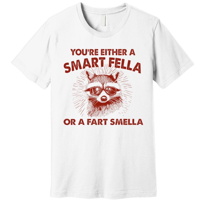 YouRe Either A Smart Fella Or Fart Smella Raccoon Premium T-Shirt