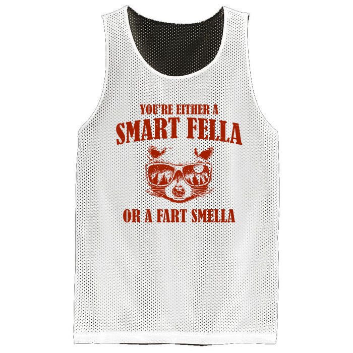 YouRe Either A Smart Fella Or A Fart Smella Mesh Reversible Basketball Jersey Tank