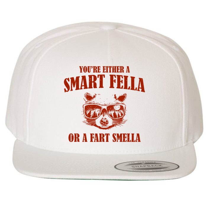 YouRe Either A Smart Fella Or A Fart Smella Wool Snapback Cap